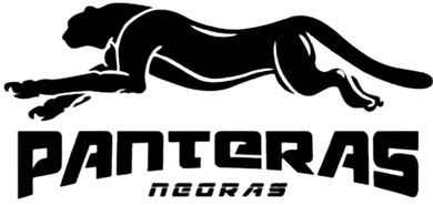 Logo Club Panteras Negras - Playa del Carmen